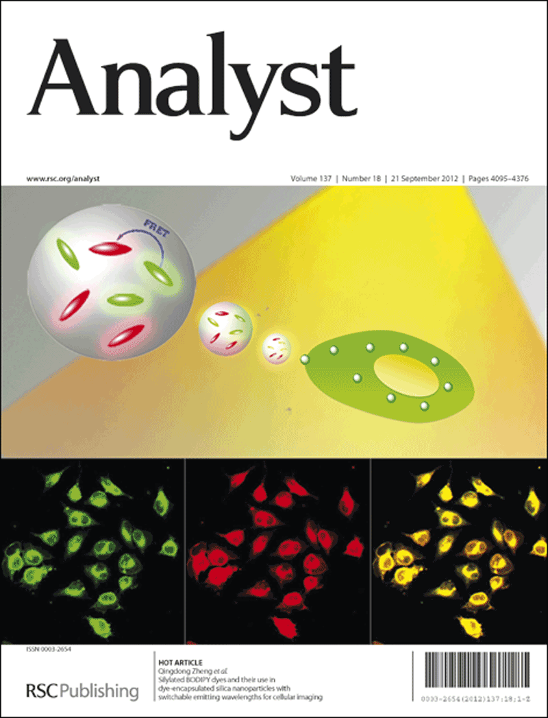 Analyst 2012,Issue 18,front cover