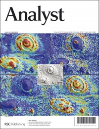 Analyst 2012,问题20,front cover