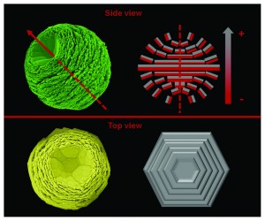 Template-free facile solution synthesis and optical properties of ZnO mesocrystals