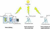 二氧化钛纳米管具有良好的光氧化和光还原活性。