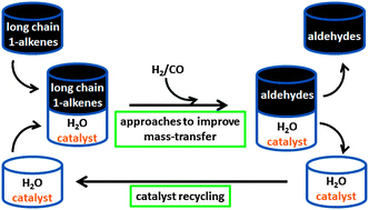 高级烯烃水-有机双相氢甲酰化的替代方法