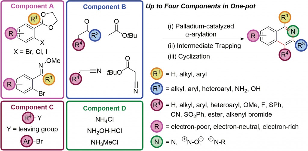 Palladium-catalyzed enolate arylation as a key C–C bond-forming reaction for the synthesis of isoquinolines