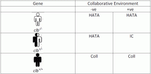 表1。消极(-ve)或积极(+ve)协作环境对个体消极行为的影响，杂合子或阳性的假定的协作基因。哈塔:知道所有的答案;集成电路:诱导合作者;科尔：合作者（表由露丝罗伯茨）。